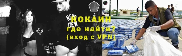 шишки Алзамай