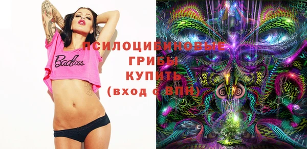 шишки Алзамай