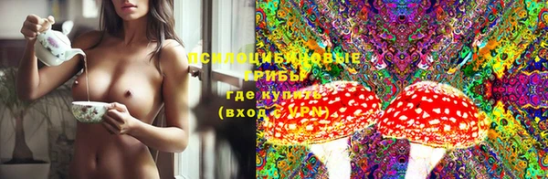 шишки Алзамай