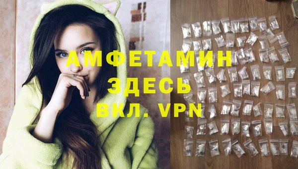 шишки Алзамай
