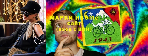 шишки Алзамай